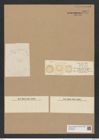 Eupodiscus radiatus Bail. (de-Toni-Nr.: Genus 177, Species 4472) Zeichnungen Sammlung Grunow Nr. 8037 (NHMW-BOT-W0377346)